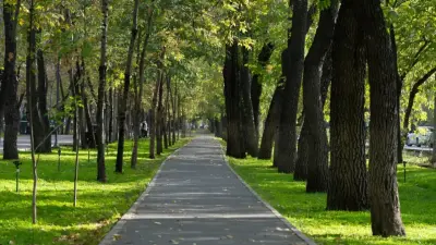 Газонов станет меньше в Алматы: где от них откажутся и чем заменят