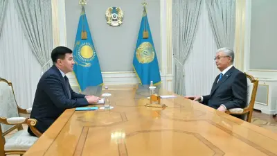 Токаев принял главу компании, которая ведёт реконструкцию детдома в Баганашыле