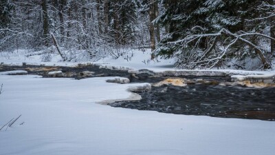 Жителей предупредили о резком подъёме уровня воды в реке Киши Алматы