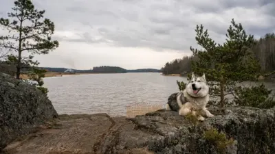 Похолодание обещают в Казахстане на выходных