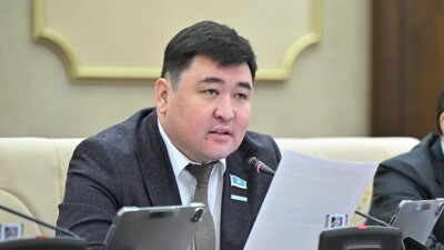 "Ругательство и оскорбления не являются сатирой". Депутат прокомментировал задержание Темирлана Енсебека