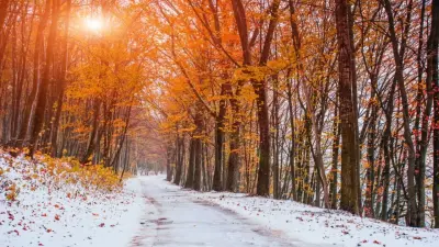 Снег и гололёд прогнозируют синоптики в Казахстане