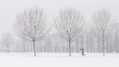 "Дети никогда не играли в снежки". Юг США парализовал зимний шторм
