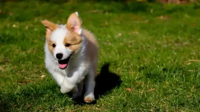 До +28 градусов потеплеет на юге Казахстана в ближайшие дни