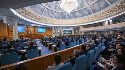 Токаев предложил обсудить целесообразность введения очередного моратория на проверки малого бизнеса