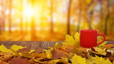 Аномально тёплый ноябрь побил температурный рекорд в Казахстане