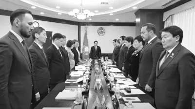 Кто из депутатов Курултая направил крупные суммы семьям погибших и пострадавших военных