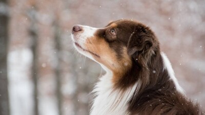 Синоптики предупреждают казахстанцев о капризной погоде