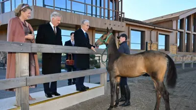 Королю и королеве Бельгии показали лошадей в резиденции президента Казахстана