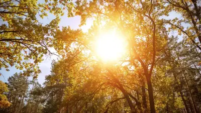 Когда в 2025 году наступит астрономическое лето