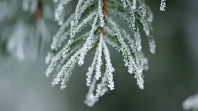 Метели и сильный ветер: где в Казахстане ухудшится погода