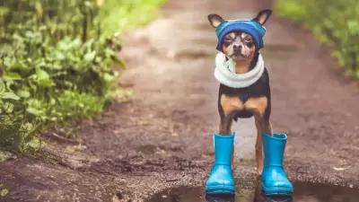 Казахстанцев ждут дождливые выходные