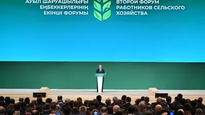 Ведомства стали увлекаться разработкой планов и дорожных карт, не согласованных между собой – Токаев