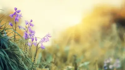 Прогноз погоды на 31 марта: в южных регионах ожидается жара