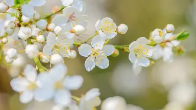 Тепло вернётся в Казахстан в выходные