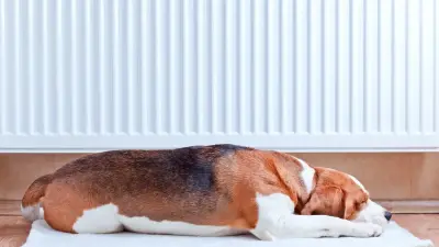 Когда включат отопление в Алматы