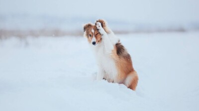 Ветер и гололёд: какая погода ожидает казахстанцев в январе