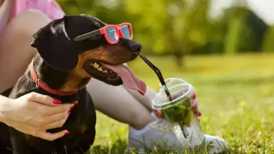 38-градусная жара вернётся на юг Казахстана