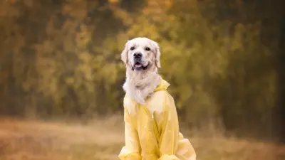 Неустойчивая погода сохранится в Казахстане в ближайшие дни