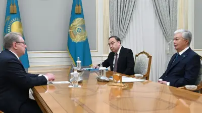 Токаев принял директора Института дипломатии