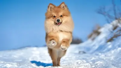 Морозы в Казахстане немного отступят