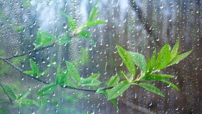 Дождливые выходные ожидаются в Казахстане