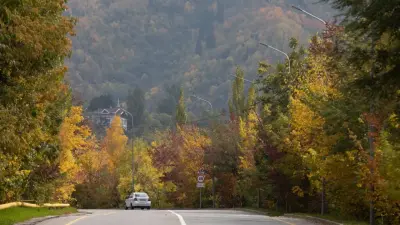 Гололёд на востоке и пыльная буря на юге: какой будет погода в Казахстане в выходные
