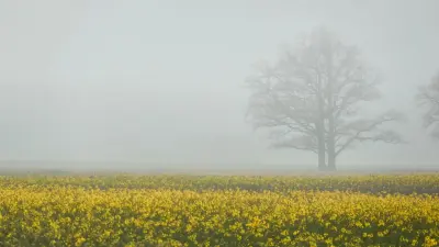 Северный антициклон надвигается на Казахстан: местами похолодает до +15