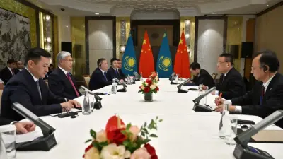 Токаев обсудил с главой CNNC строительство второй АЭС в Казахстане