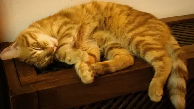 Когда в Алматы отключат отопление