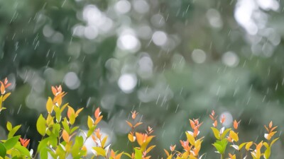 Жаркая и дождливая погода сохранится в Казахстане