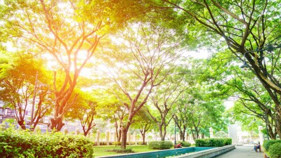 Пыльная буря и жара до 43 градусов: какая погода ожидает казахстанцев в июле