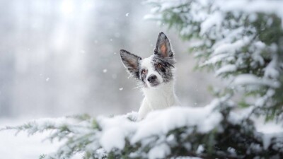 Какая зима ожидает казахстанцев, рассказали синоптики