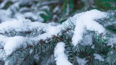 Дожди и снегопады прогнозируют синоптики на большей части Казахстана в ближайшие дни