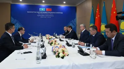 Токаев и представитель Fufeng Group обсудили запущенный в Жамбылской области инвестпроект