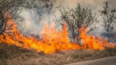 Вертолёты сбросили 68 тонн воды. Лесной пожар локализовали в Тарбагатайском нацпарке