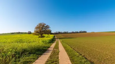 5,9 млн гектаров из возвращённых в госсобственность земель перераспределили в Казахстане