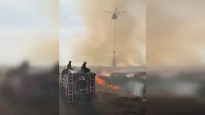 Сухая трава загорелась в Северо-Казахстанской области: пожар тушат с воздуха