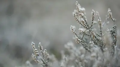 Снег в некоторых регионах Казахстана на выходных не исключили синоптики 