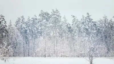 Половина месячной нормы осадков выпала за день в Усть-Каменогорске, затруднив движение транспорта