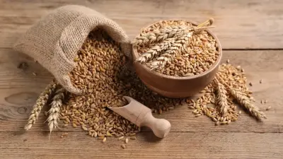 Активнее продвигать отечественную сельхозпродукцию на международные рынки поручил Токаев