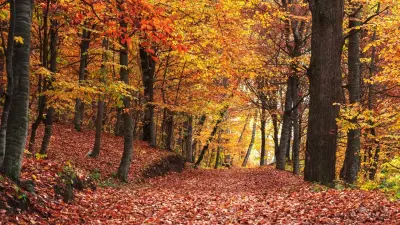 Ясную погоду обещают на большей части Казахстана