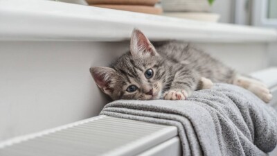 В каких северных регионах Казахстана начинается отопительный сезон