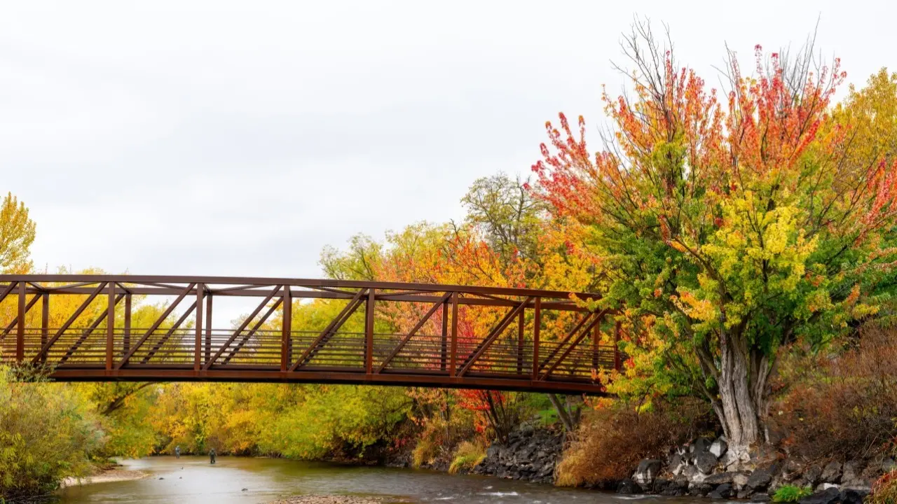 Фото Depositphotos.com