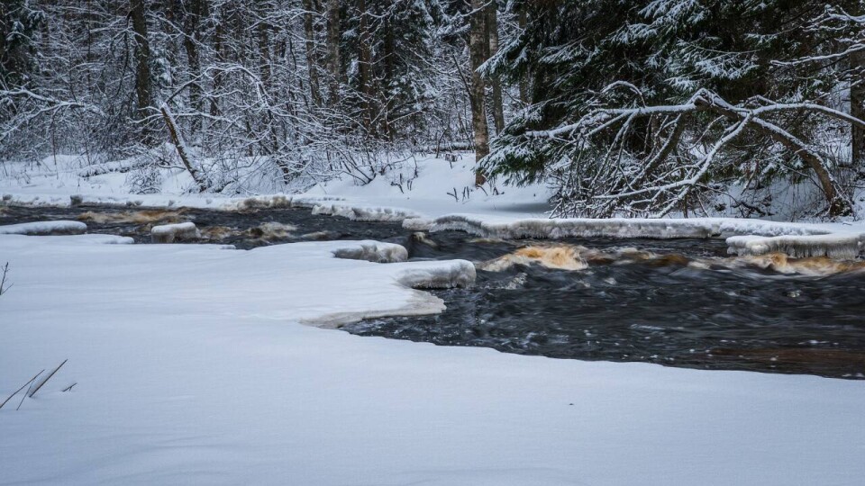 Жителей предупредили о резком подъёме уровня воды в реке Киши Алматы