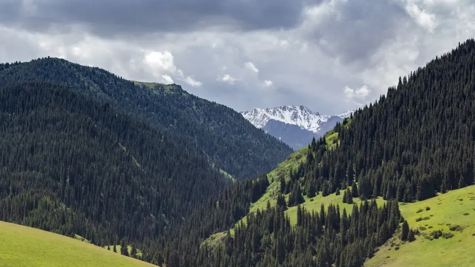 Фото Informburo.kz