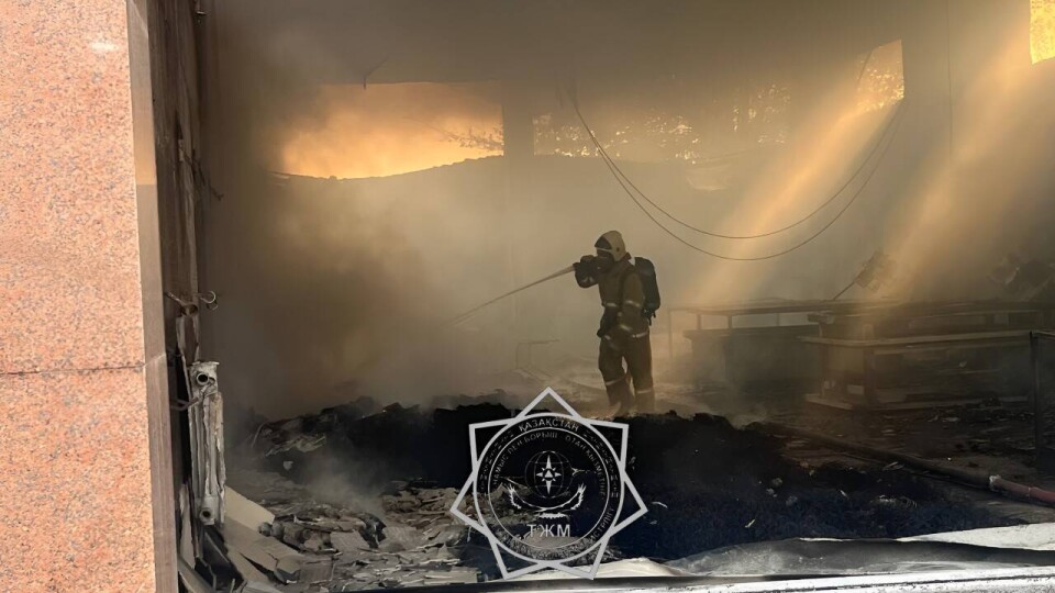 Двое мужчин получили ожоги при попытке самостоятельно потушить горящий цех в Алматинской области