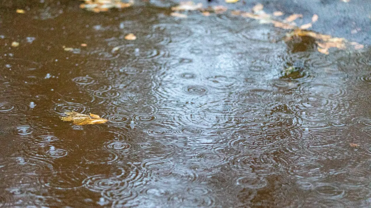 Фото Informburo.kz