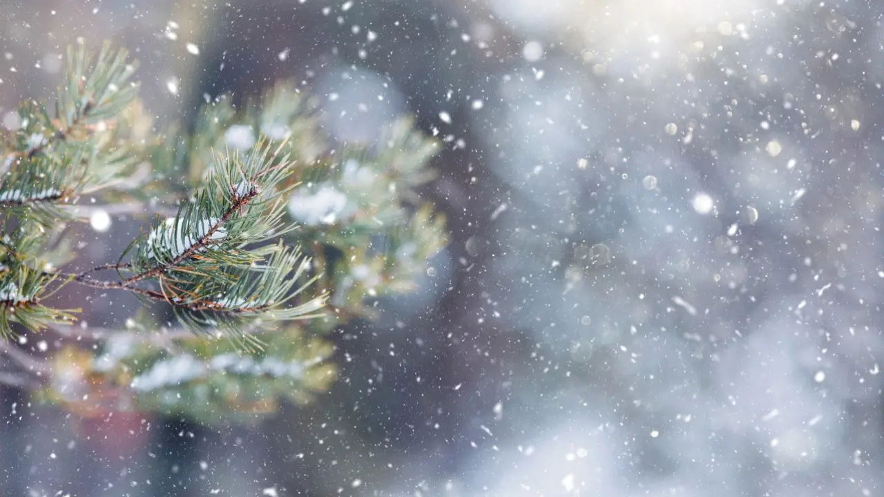 Фото Depositphotos.com