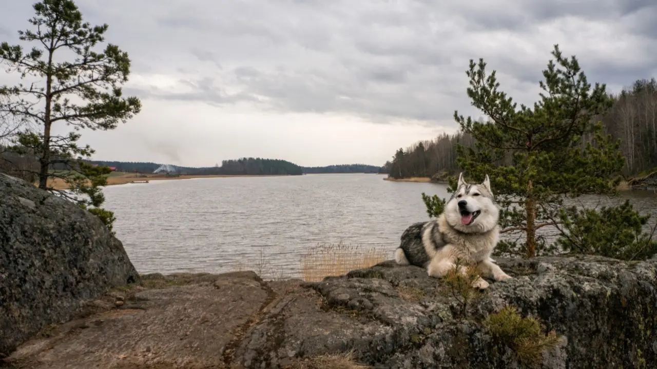 Фото Depositphotos.com